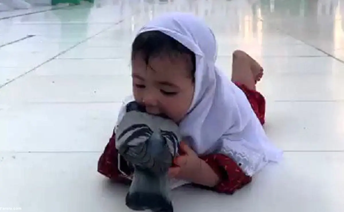 (ویدئو) کبوتربازی یک کودک در مکه