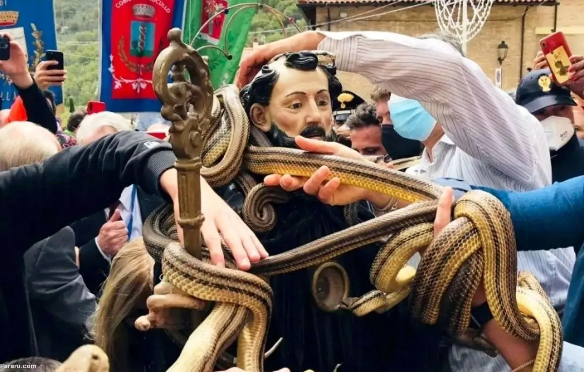 (ویدئو) مارهای مقدس!