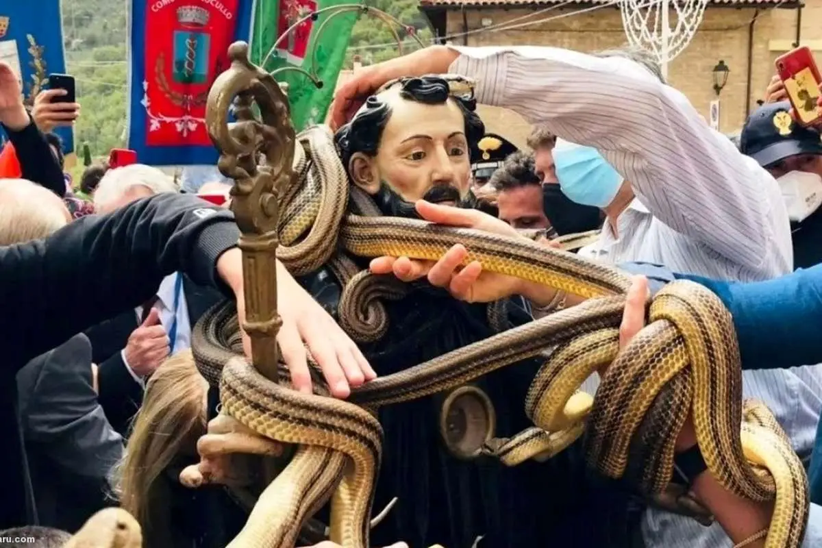 (ویدئو) مارهای مقدس!