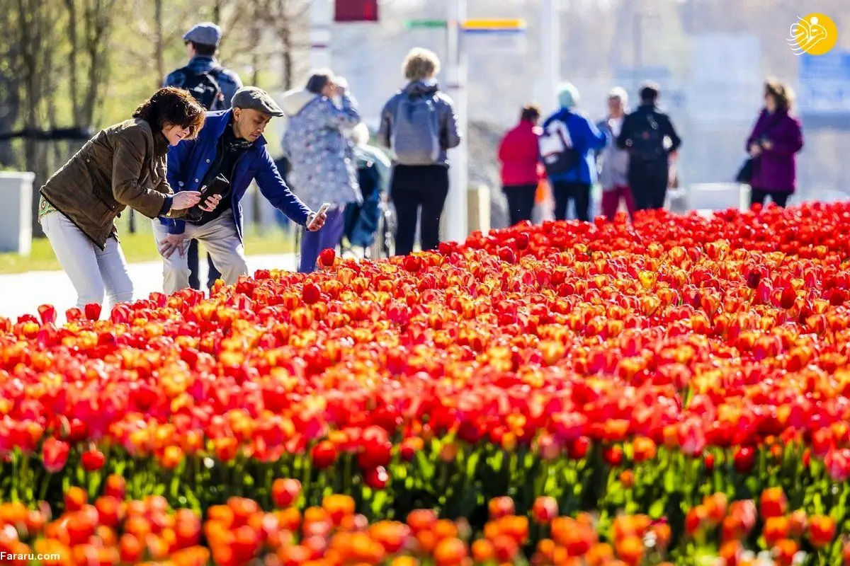 (تصاویر) نمایشگاه جهانی باغبانی