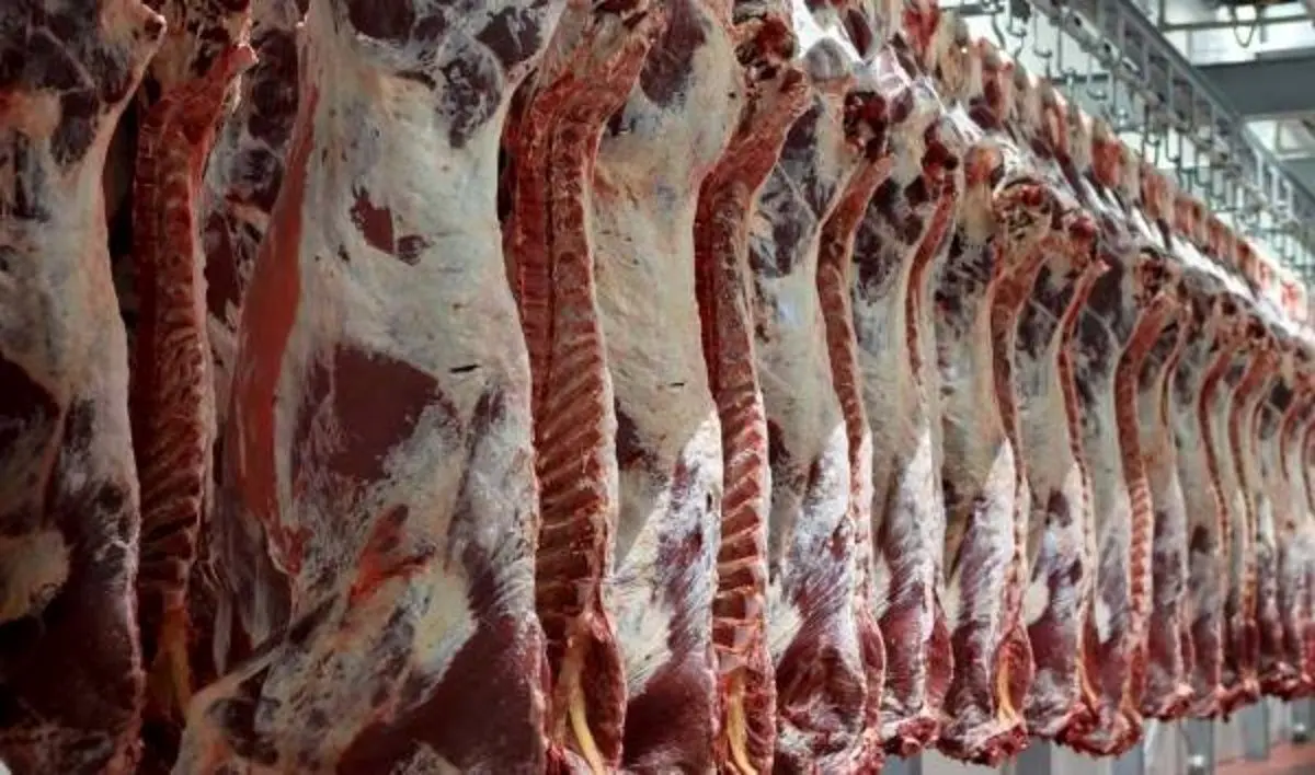 ماجرای خبر واردات گوشت حرام به کشور
