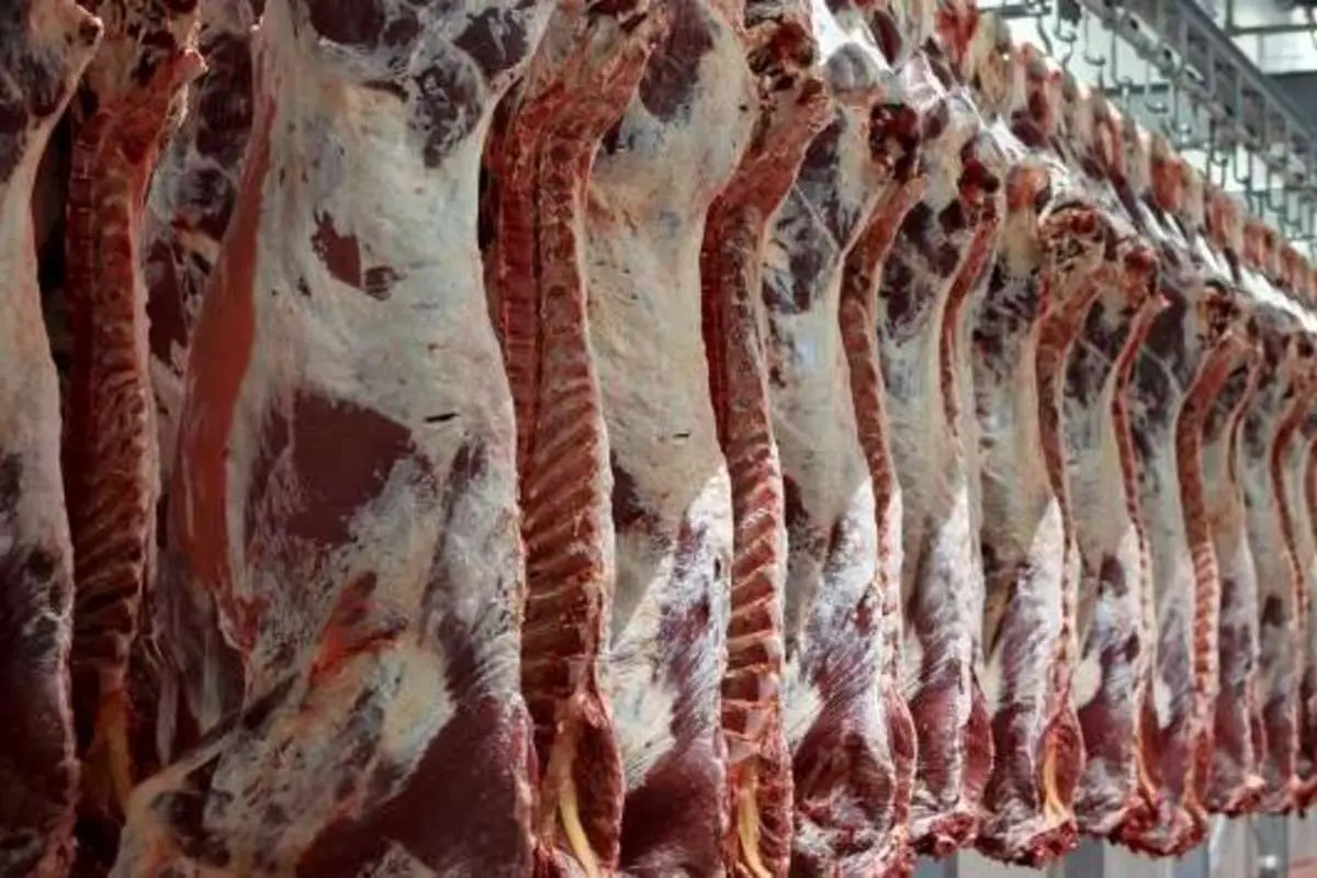 ماجرای خبر واردات گوشت حرام به کشور