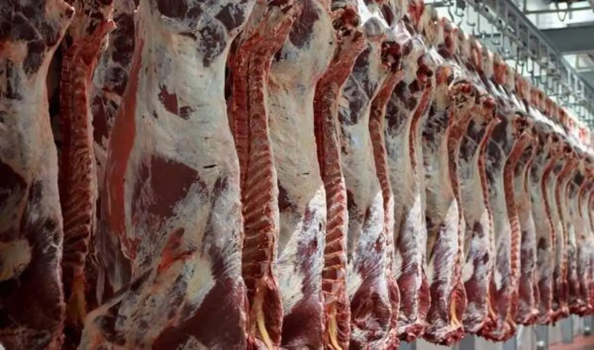 ماجرای خبر واردات گوشت حرام به کشور