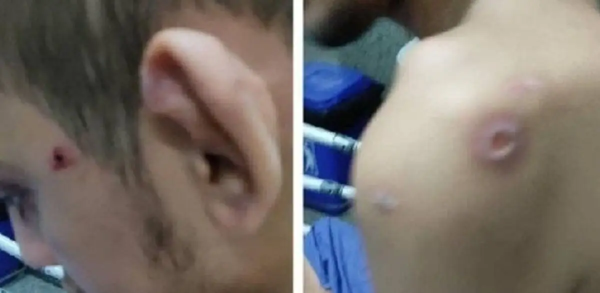 آزار و اذیت یک ناتوان ذهنی در قائم‌شهر