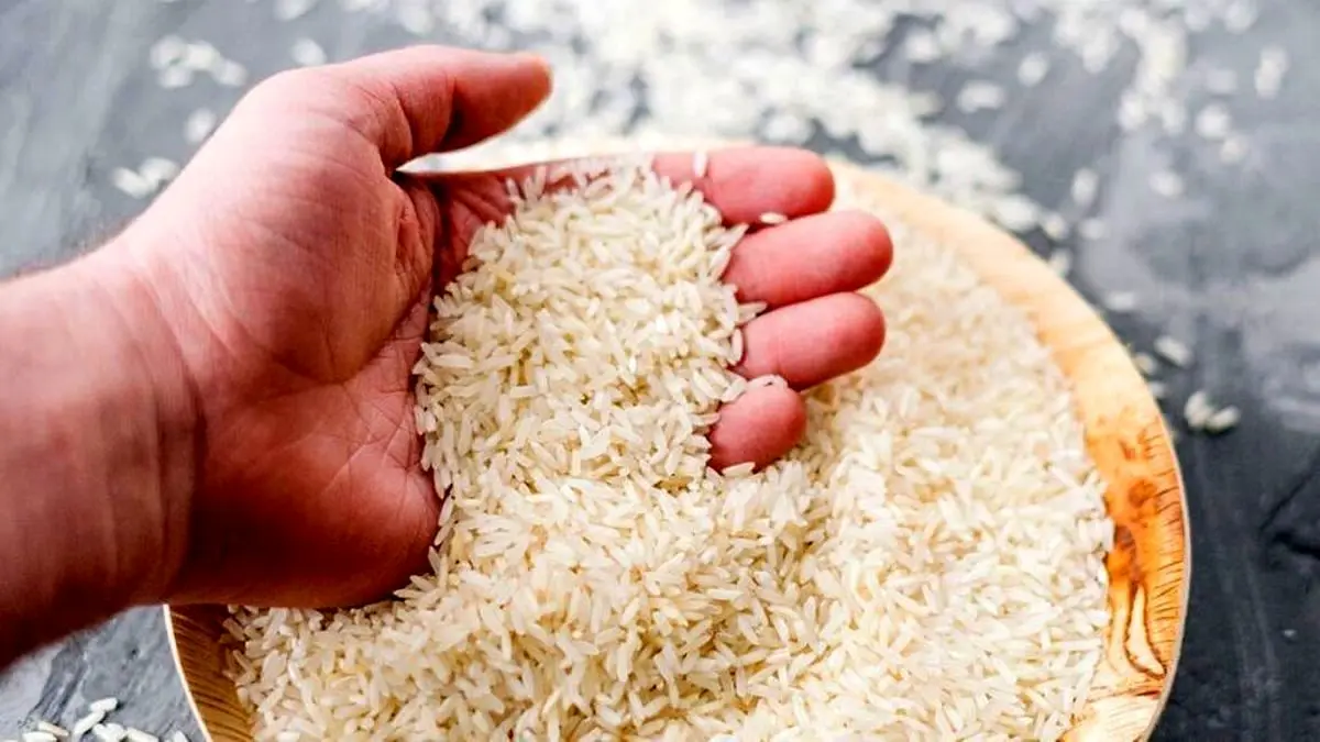 از برنج چه خبر؟