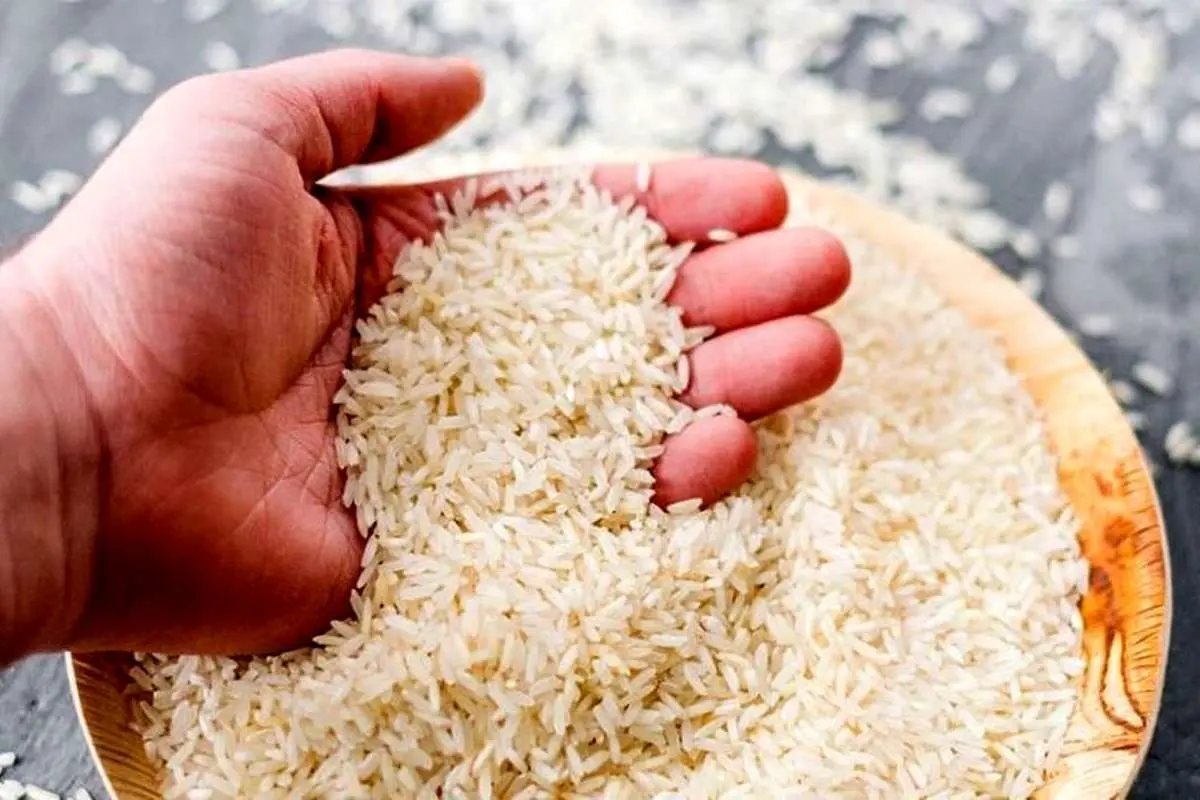 از برنج چه خبر؟