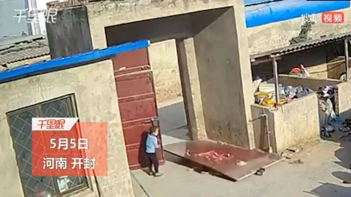 (ویدئو +16) سقوط وحشتناک درب آهنی روی دو کودک و یک سگ