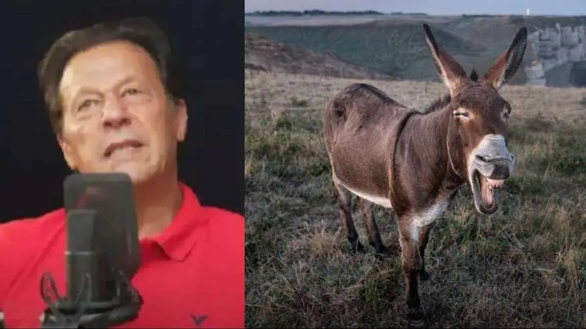 (ویدئو) عمران خان خود را به «الاغ» تشبیه کرد!