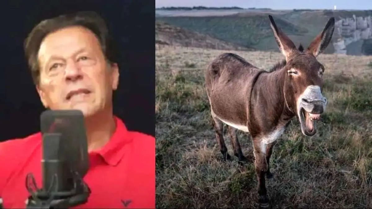 (ویدئو) عمران خان خود را به «الاغ» تشبیه کرد!