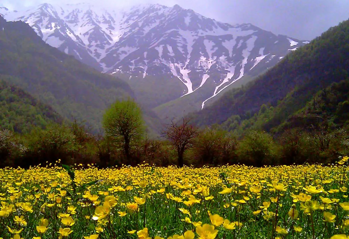 پیش‌بینی وضعیت آب و هوای تهران فردا چهارشنبه ۲۱ اردیبهشت