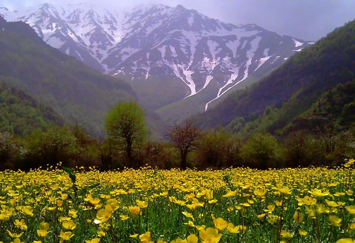 پیش‌بینی وضعیت آب و هوای تهران فردا چهارشنبه ۲۱ اردیبهشت