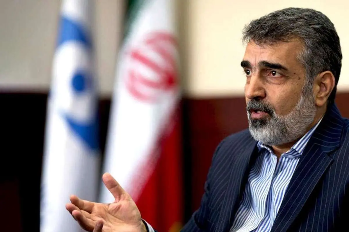 سخنگوی سازمان انرژی اتمی: سخنان گروسی دور از انتظار بود