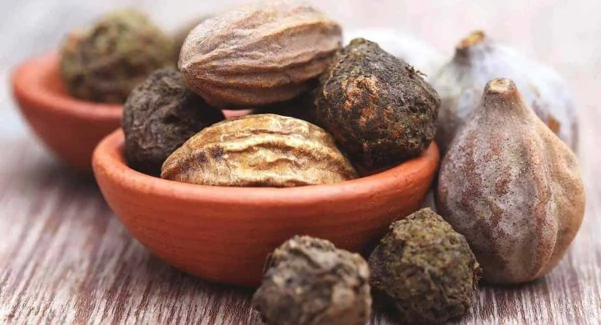 خواص هلیله سیاه و شیوه مصرف آن