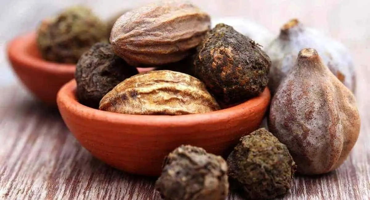 خواص هلیله سیاه و شیوه مصرف آن