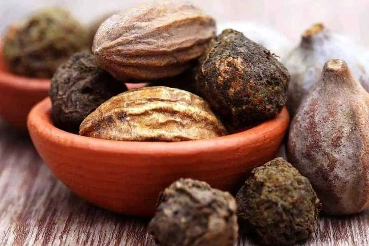 خواص هلیله سیاه و شیوه مصرف آن