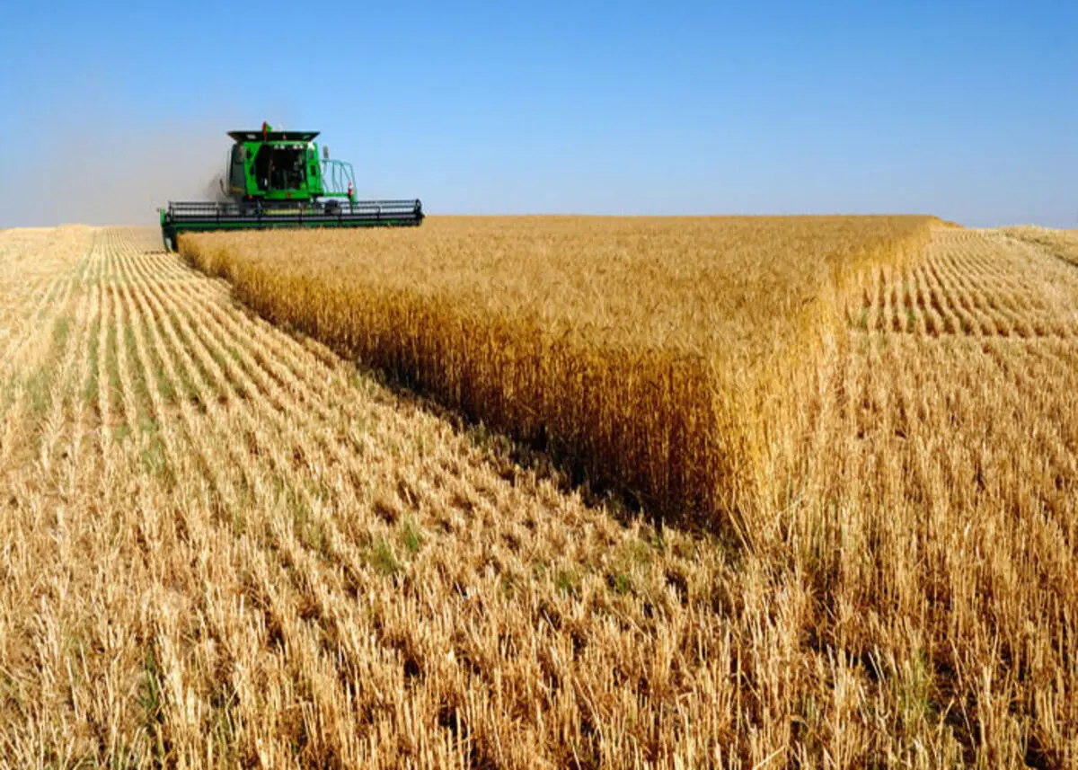 خطر مهاجرت گسترده ایرانیان برای غذا