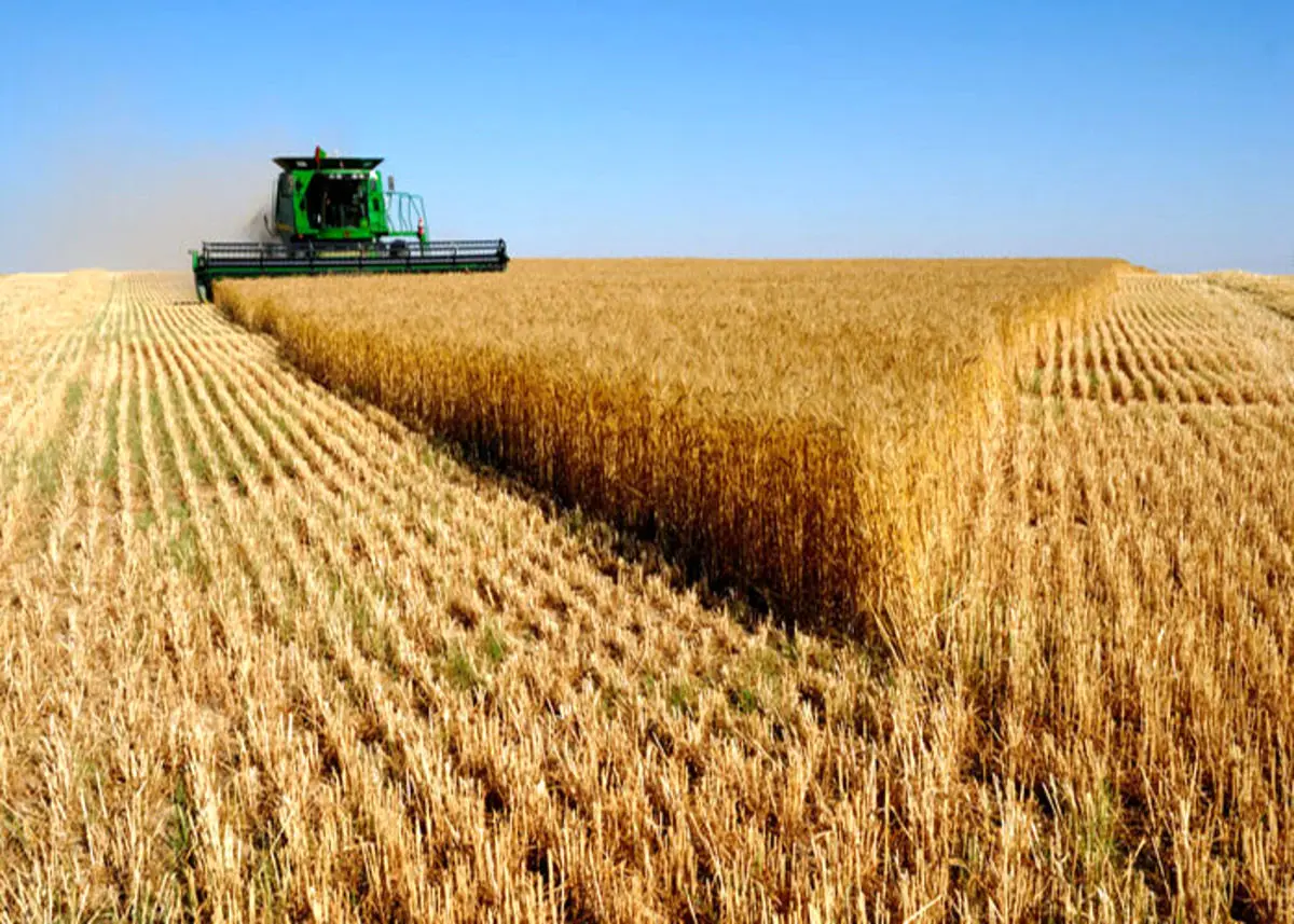 خطر مهاجرت گسترده ایرانیان برای غذا