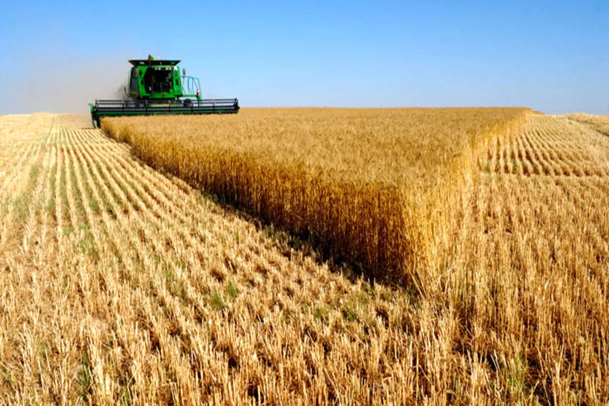 خطر مهاجرت گسترده ایرانیان برای غذا