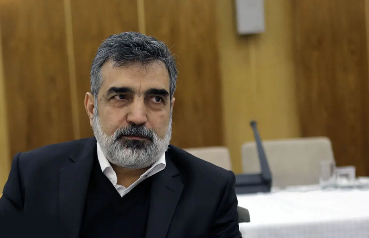 مذاکره با روسیه برای توسعه فاز ۲ و ۳ نیروگاه اتمی بوشهر
