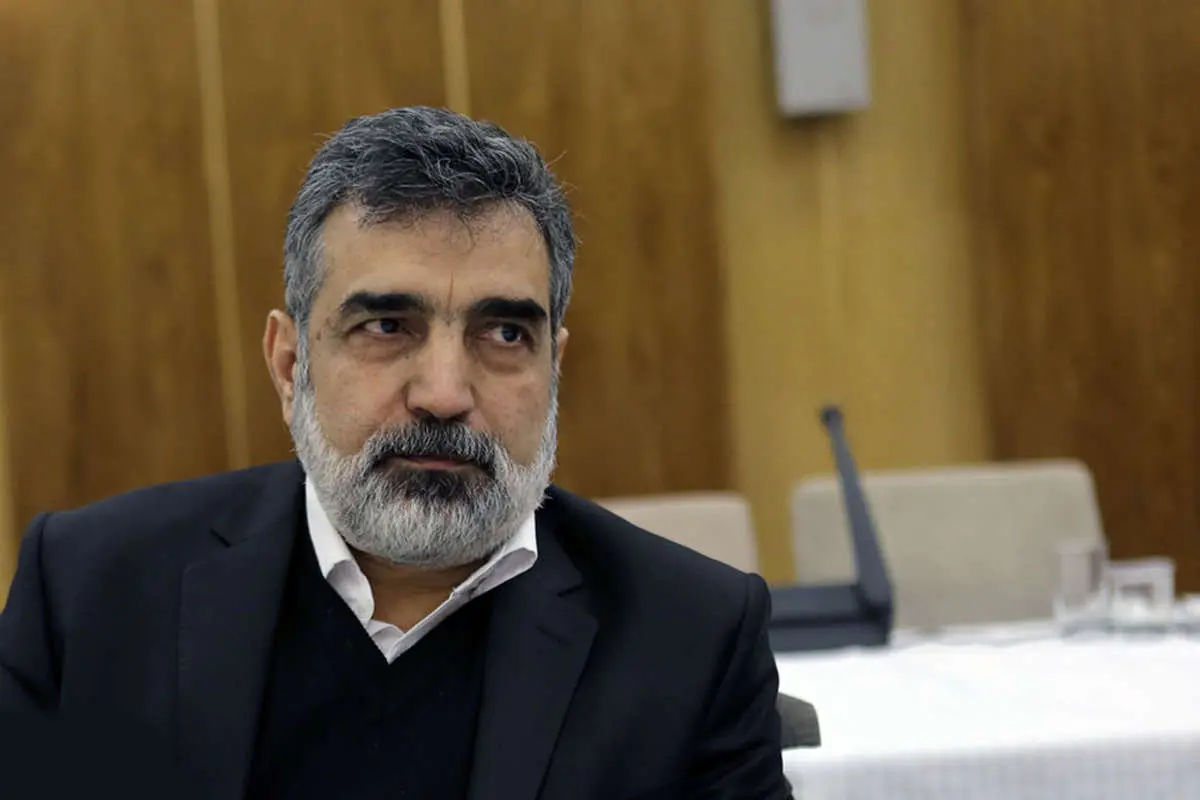 مذاکره با روسیه برای توسعه فاز ۲ و ۳ نیروگاه اتمی بوشهر