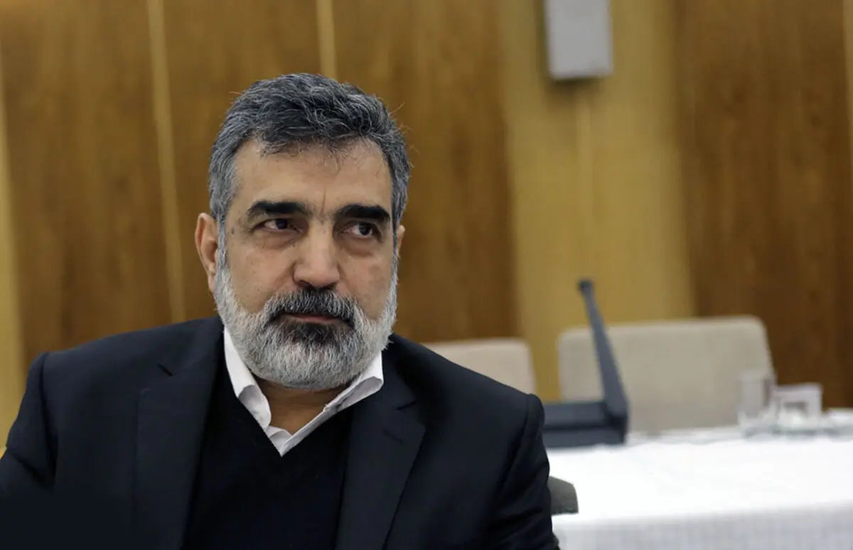 مذاکره با روسیه برای توسعه فاز ۲ و ۳ نیروگاه اتمی بوشهر