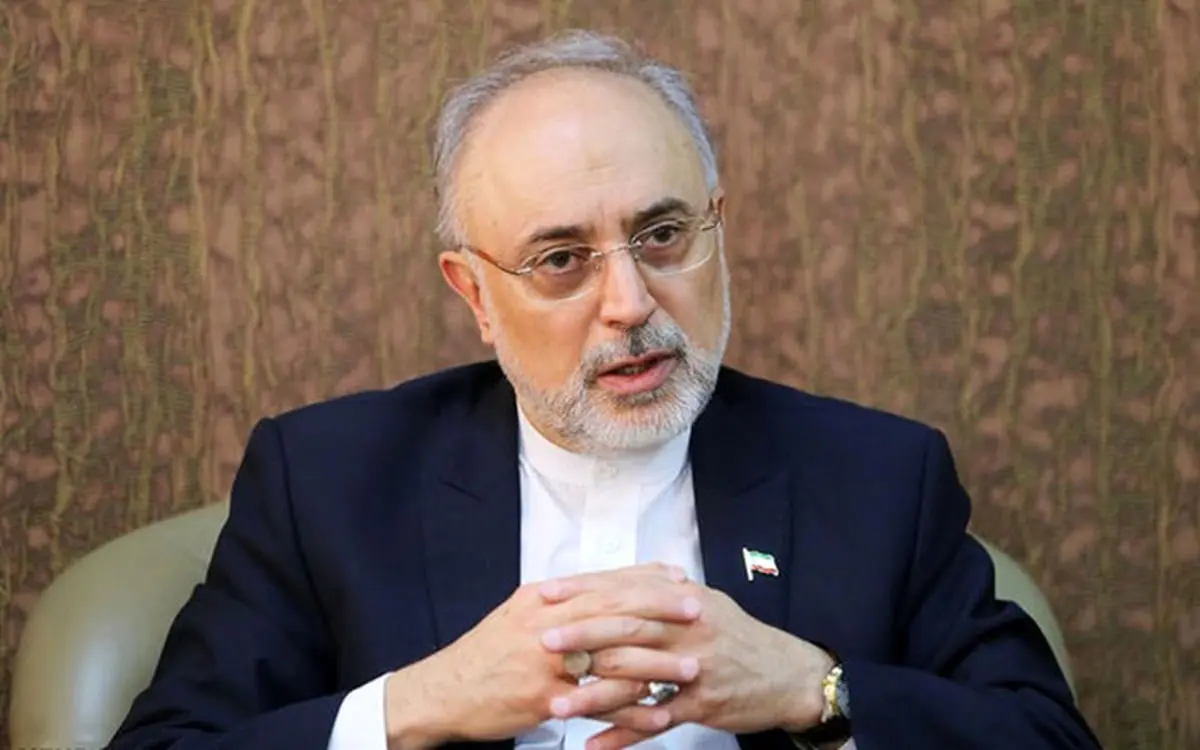صالحی: نبود تکنولوژی باعث شده، قطر اقدام به ربایش گاز ایران کند