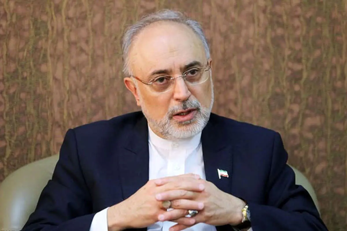 صالحی: نبود تکنولوژی باعث شده، قطر اقدام به ربایش گاز ایران کند