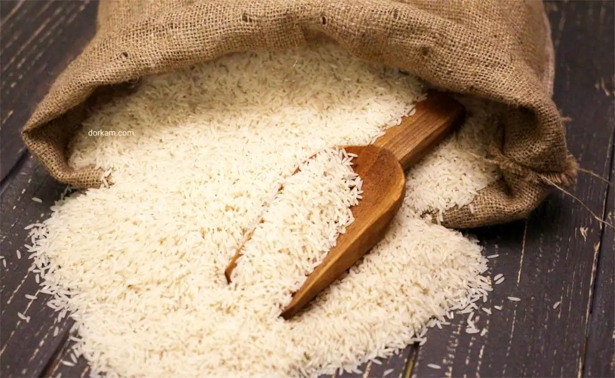 «افزایش نرخ برنج تصاعدی شده است»