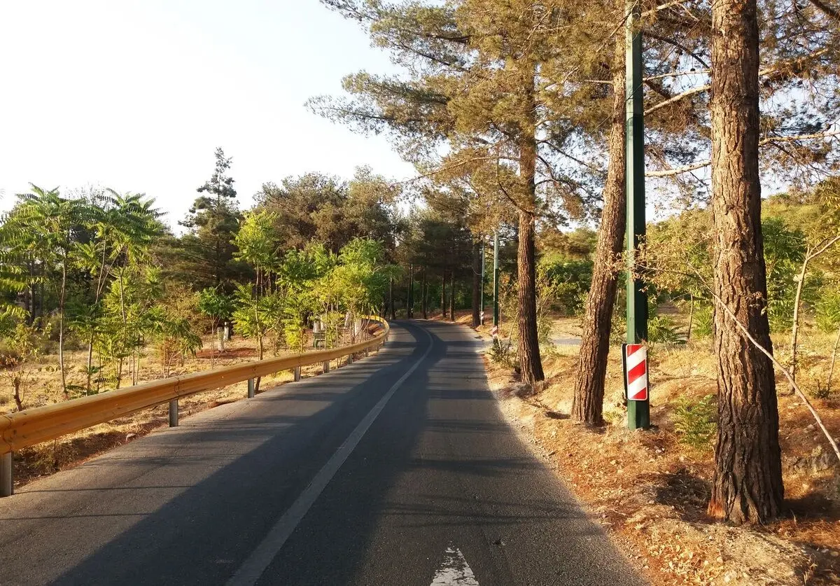 احتمال قطع آبِ بوستان‌های جنگلی تهران به دلیل کم‌آبی