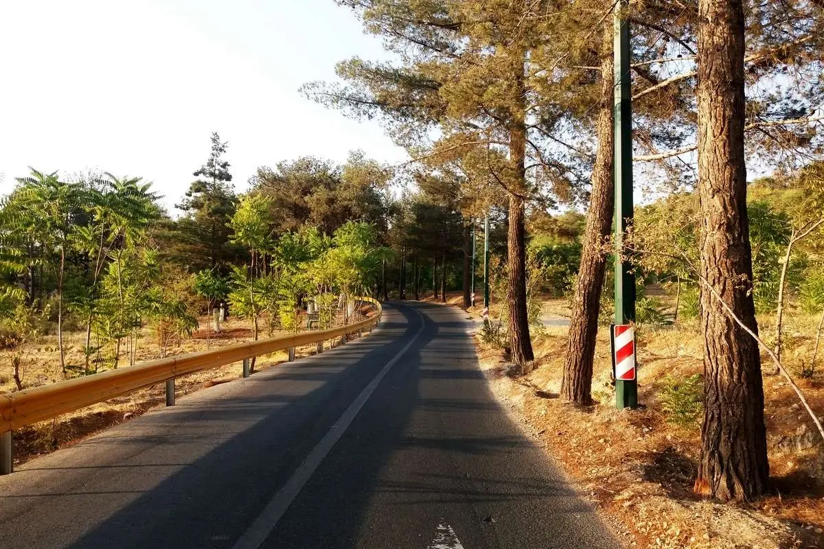 احتمال قطع آبِ بوستانهای جنگلی تهران به دلیل کمآبی