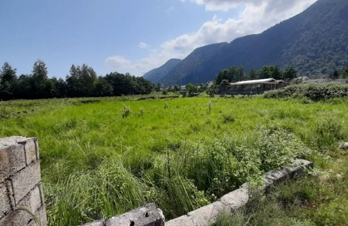 خرید زمین در چالوس چقدر هزینه دارد؟‌