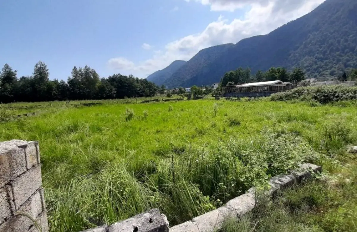 خرید زمین در چالوس چقدر هزینه دارد؟‌
