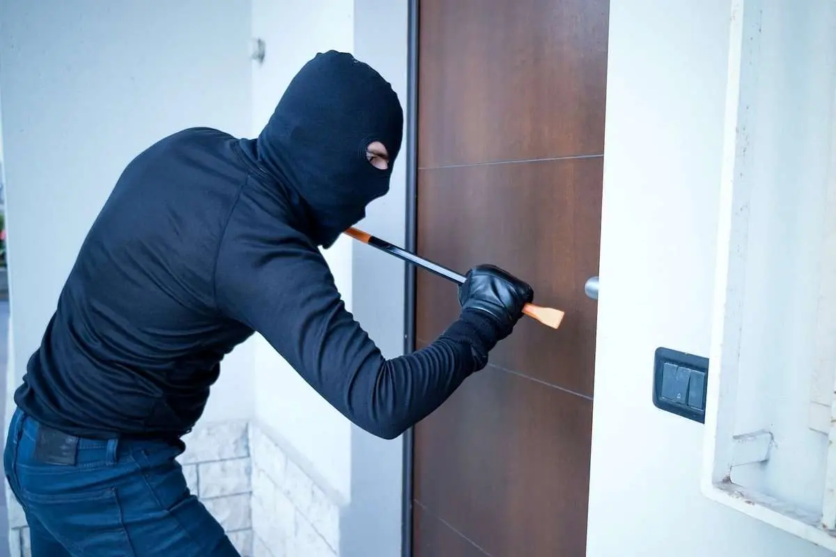شرطبندی برای سرقت از خانه خانم دکتر