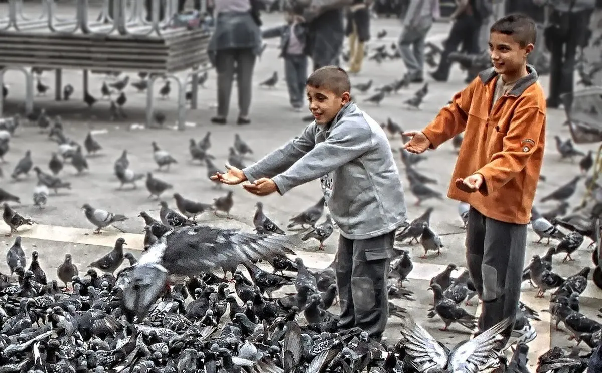 (ویدئو) بارسلون خسته از کبوتر