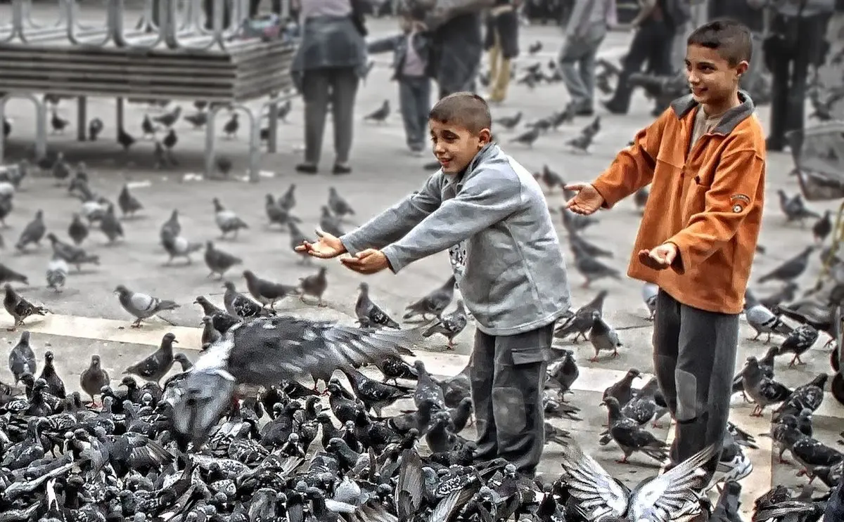 (ویدئو) بارسلون خسته از کبوتر