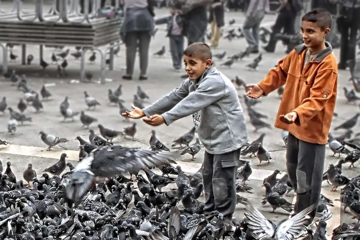 (ویدئو) بارسلون خسته از کبوتر