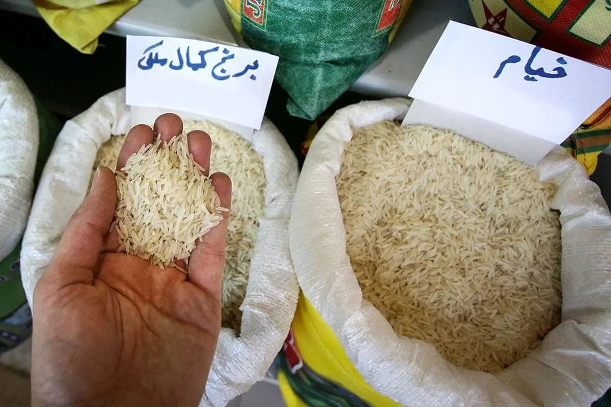 قیمت برنج کاهش می‌یابد؟