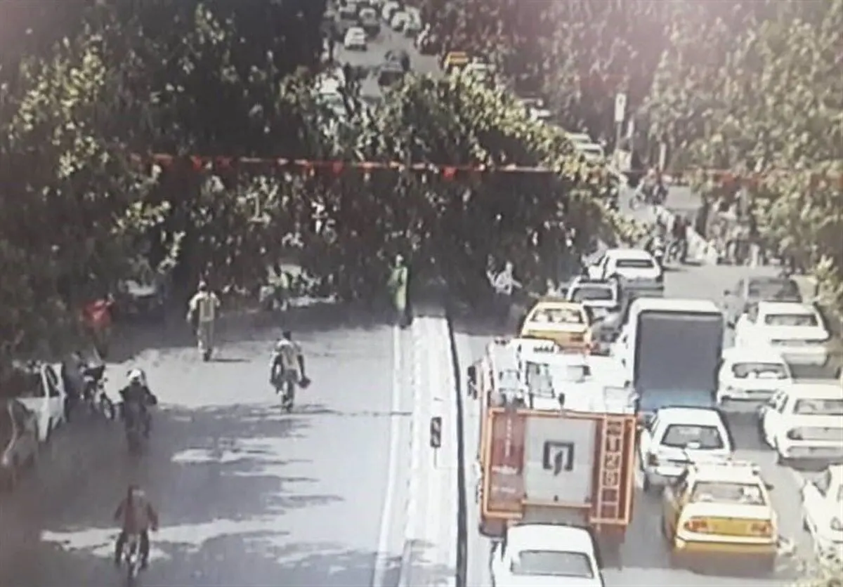 انسداد خیابان شریعتی به دلیل سقوط یک درخت