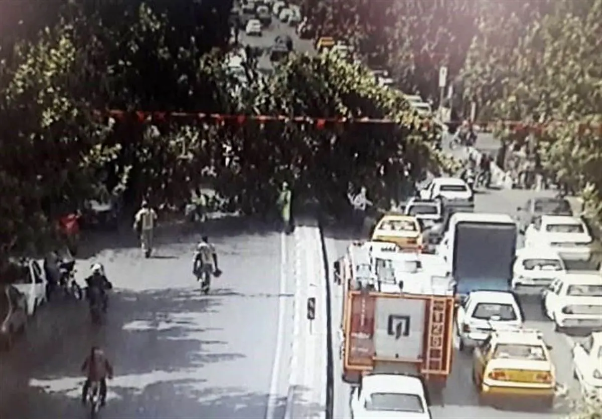 انسداد خیابان شریعتی به دلیل سقوط یک درخت