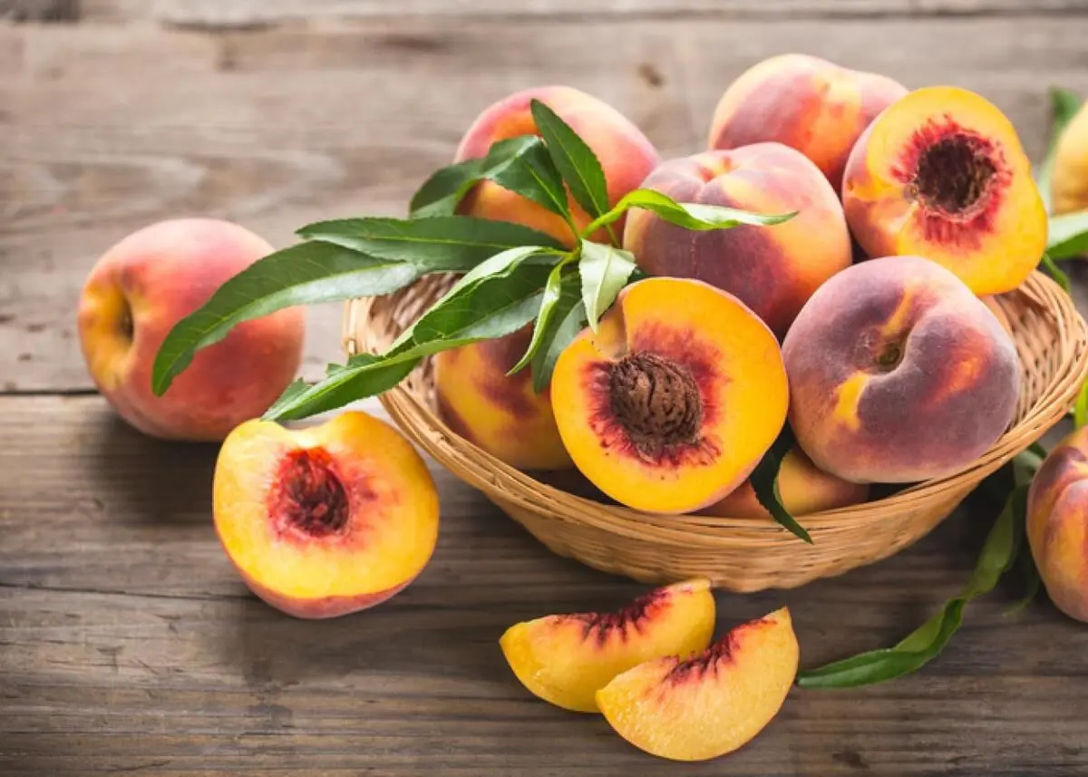 میوه مناسب برای افراد با رژیم غذایی خاص کدام است؟