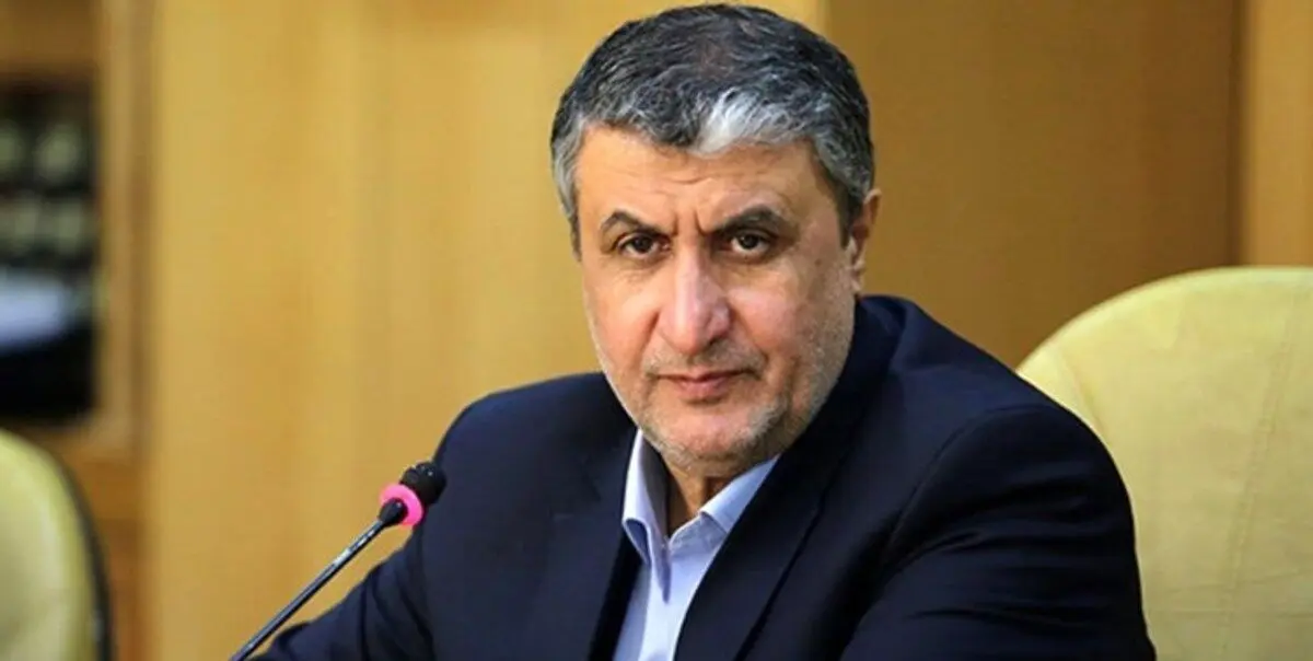 واکنش اسلامی به اقدامات جدید آژانس
