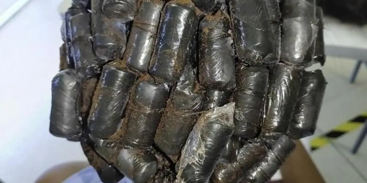 (ویدئو) قاچاق مواد مخدر توسط دو زن با جاسازی در کلاه گیس!
