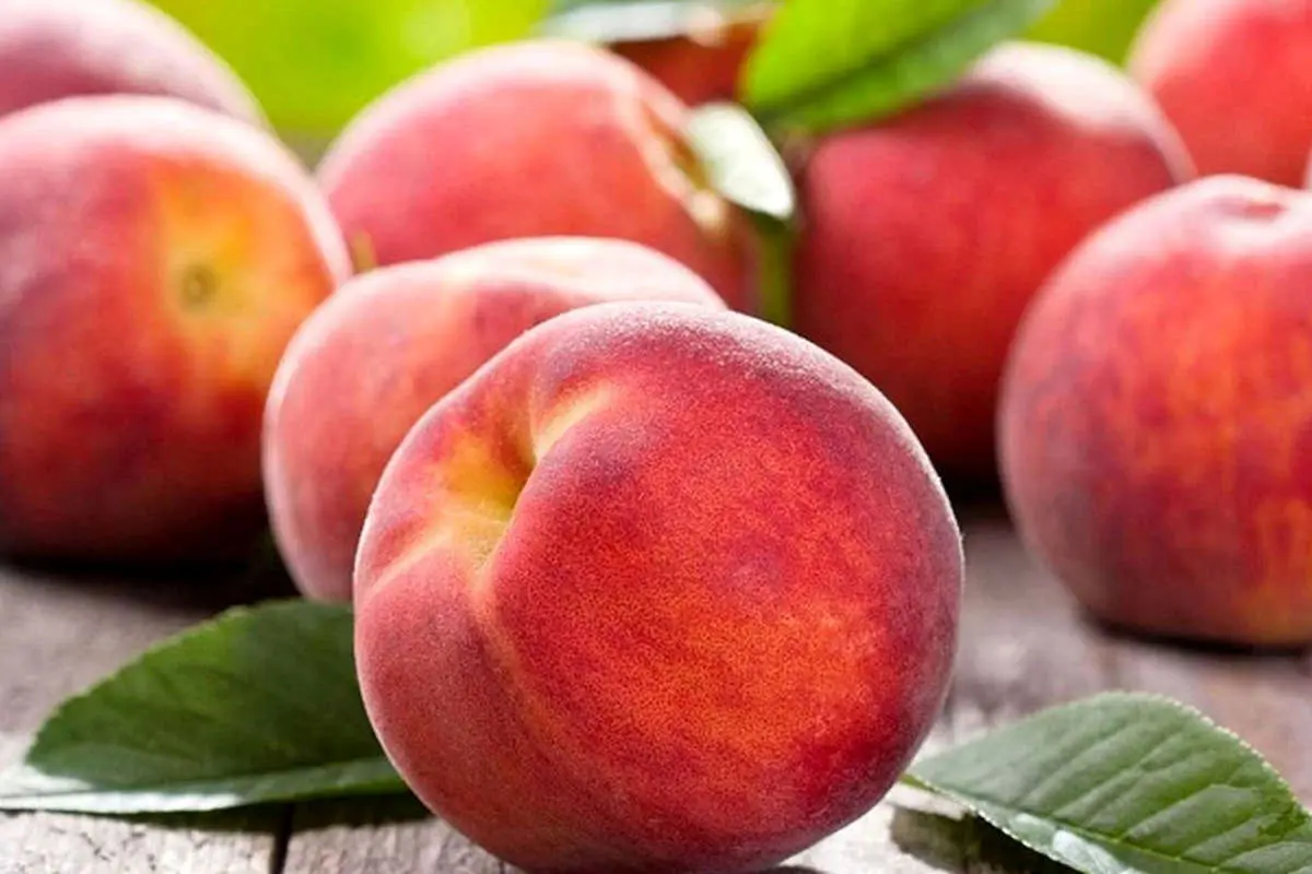 (تصاویر) این میوه‌های خوش آب و رنگ ولی سمی را بشناسید