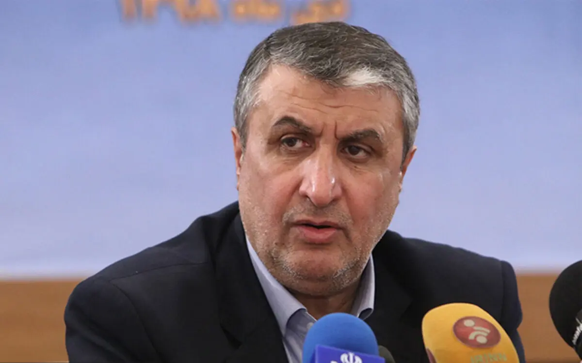 رئیس سازمان انرژی اتمی: ایران فعالیت هسته‌ای پنهانی ندارد