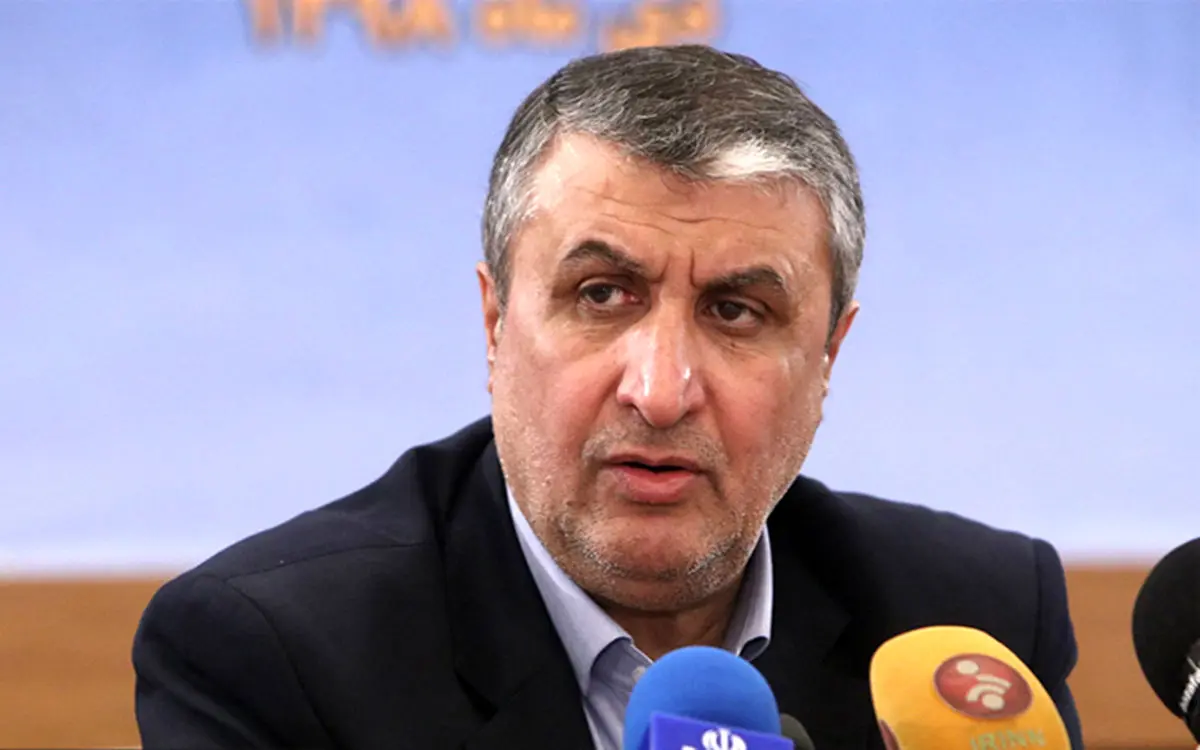 رئیس سازمان انرژی اتمی: ایران فعالیت هسته‌ای پنهانی ندارد