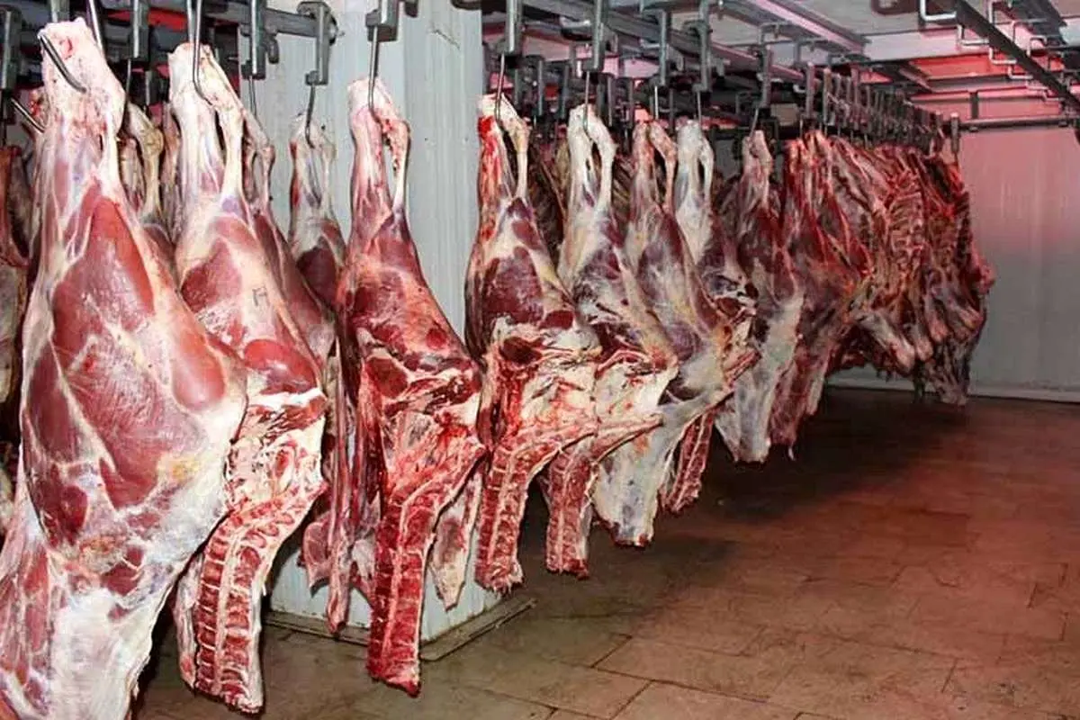 عامل عرضه گوشت الاغ در یک رستوران دستگیر شد
