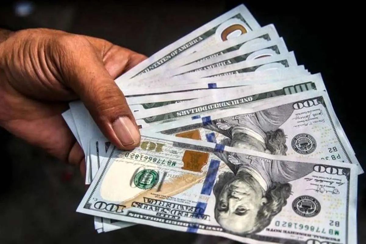 کالای اساسی وارداتی با ارز ۴۲۰۰ خاک شد!