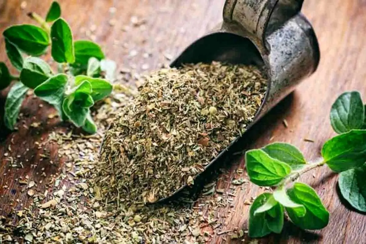خواص حیرت انگیز این گیاه در پیشگیری از قند خون