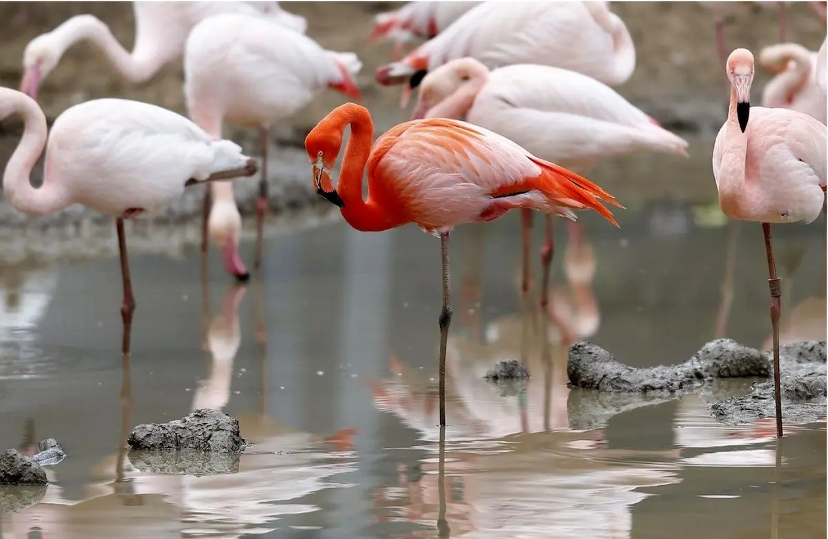 این تست طول عمر افراد میانسال را پیش بینی می‌کند!