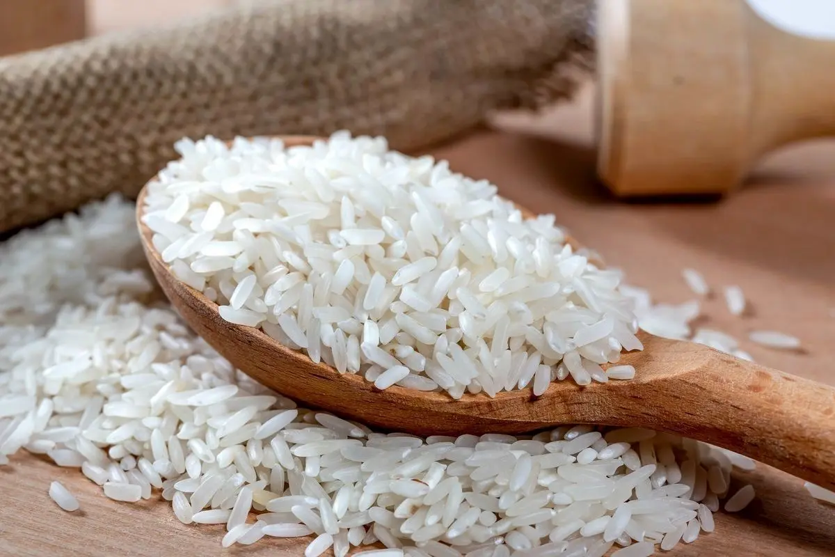 قیمت برنج ایرانی چند؟